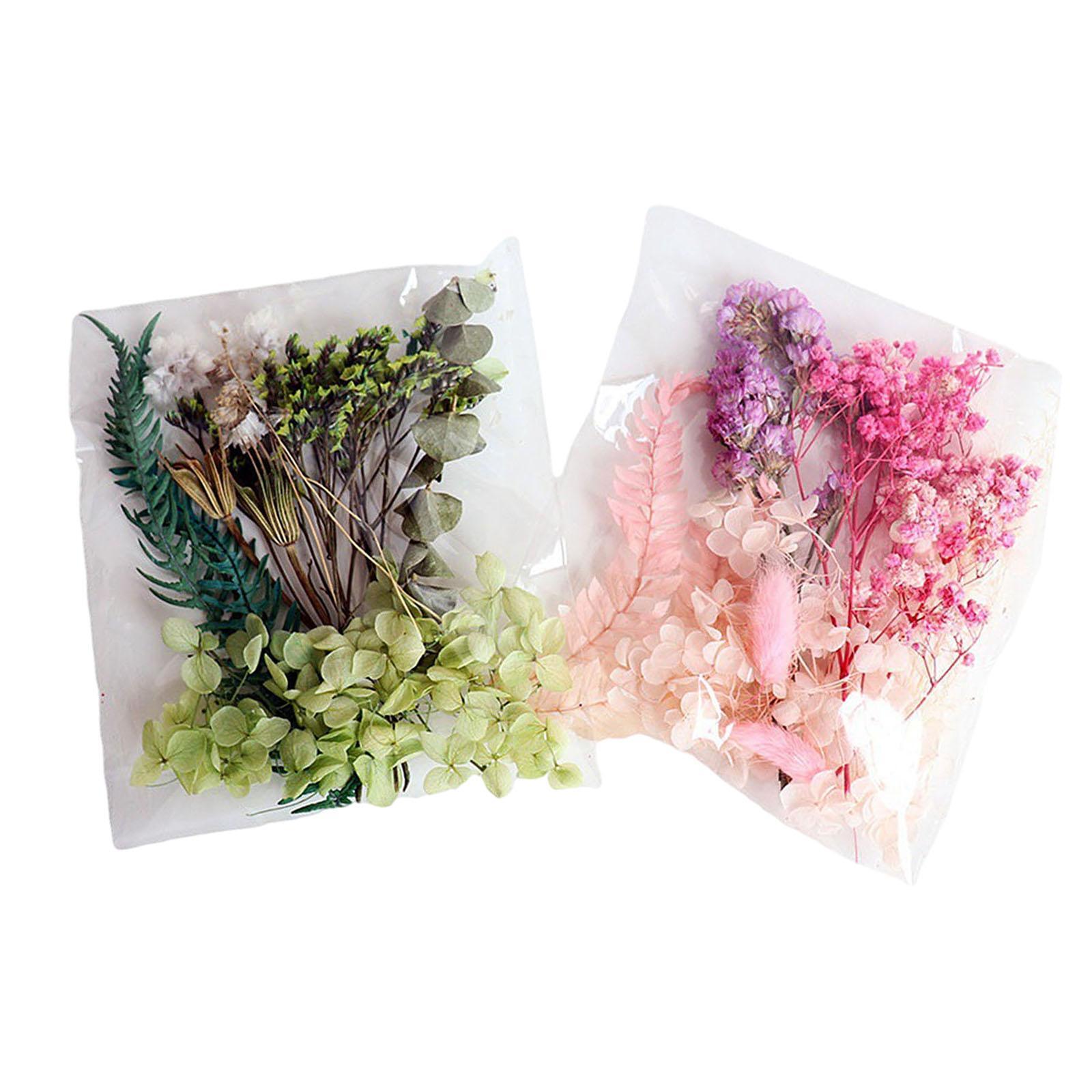 Dried Flowers for Resin Dry Pressing Floral Set for Phone Case Wedding-image