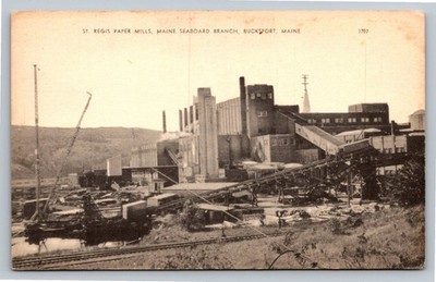 St. Regis Paper Mills Maine Seaboard Branch Bucksport Maine Vintage Postcard