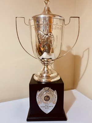   Große Silber Trophäe | 21'' hoch 540mm | Vintage Dog Show Winner | Pokale Requisite