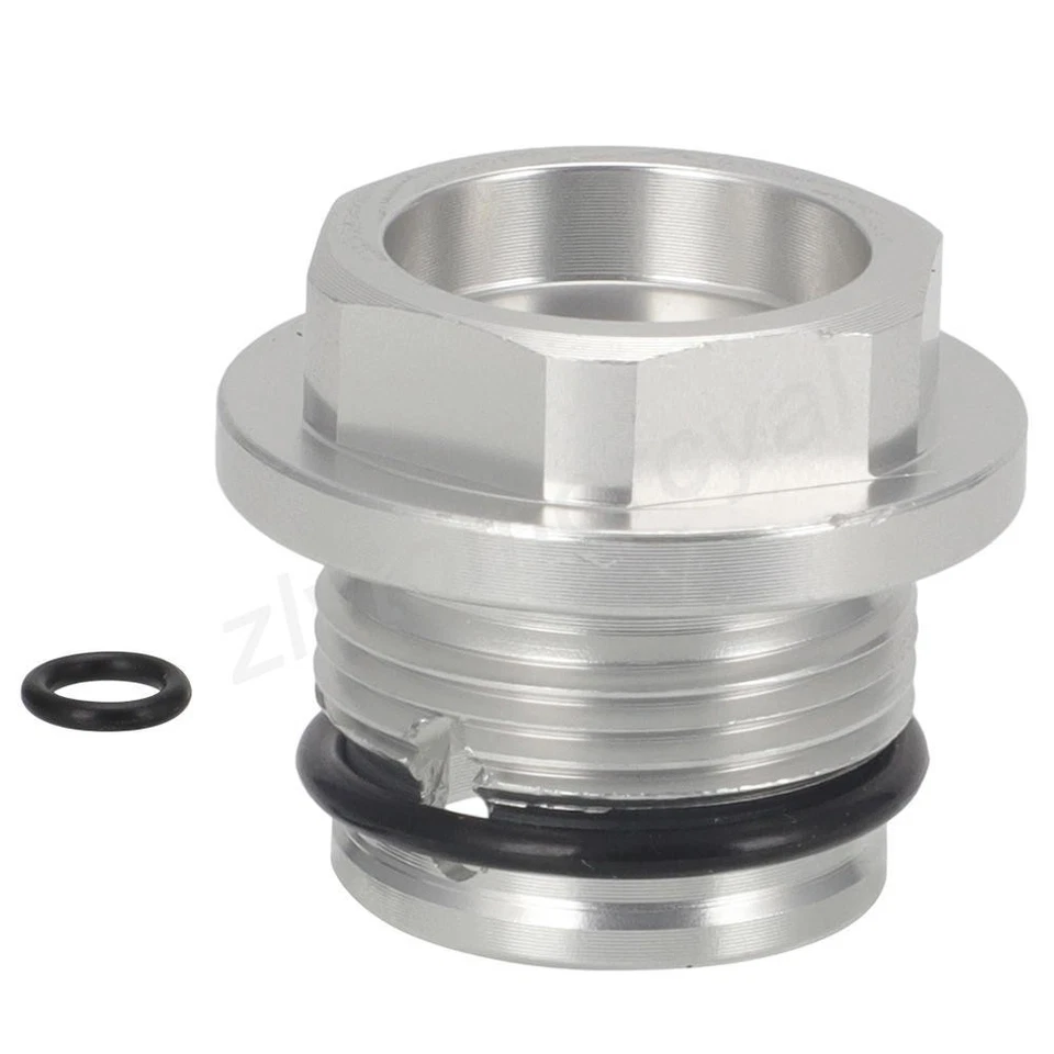 Tensor de cadena de leva plateado para BMW S1000R S1000XR S1000RR HP4 2009-20 tapón de tornillo Foto 2 de 4