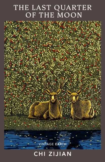 The Last Quarter of the Moon by Chi Zijian (Paperback Book) - Image 3