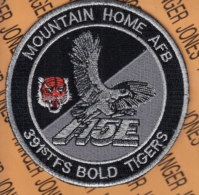 USAF Air Force 391st Fighter Sq FS F-15E Bold Tigers ~4'' patch c/e D