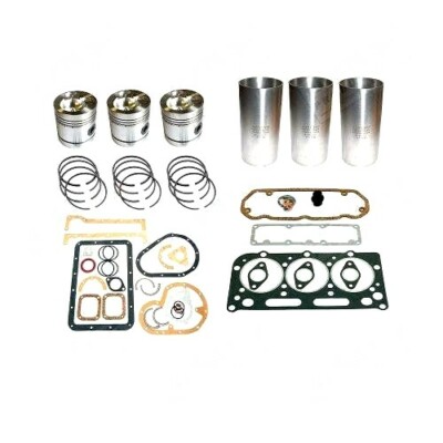 Motor Überholung Set Für David Brown 1190 1194 Traktore