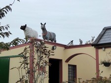 Photo 6x4 Rooftop ornaments on a farm at Rabane Corravilla c2017