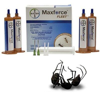 MAXFORCE Bayer ANT Killer -- Gel Bait and Arenas/Stations **SAME DAY SHIPPING**