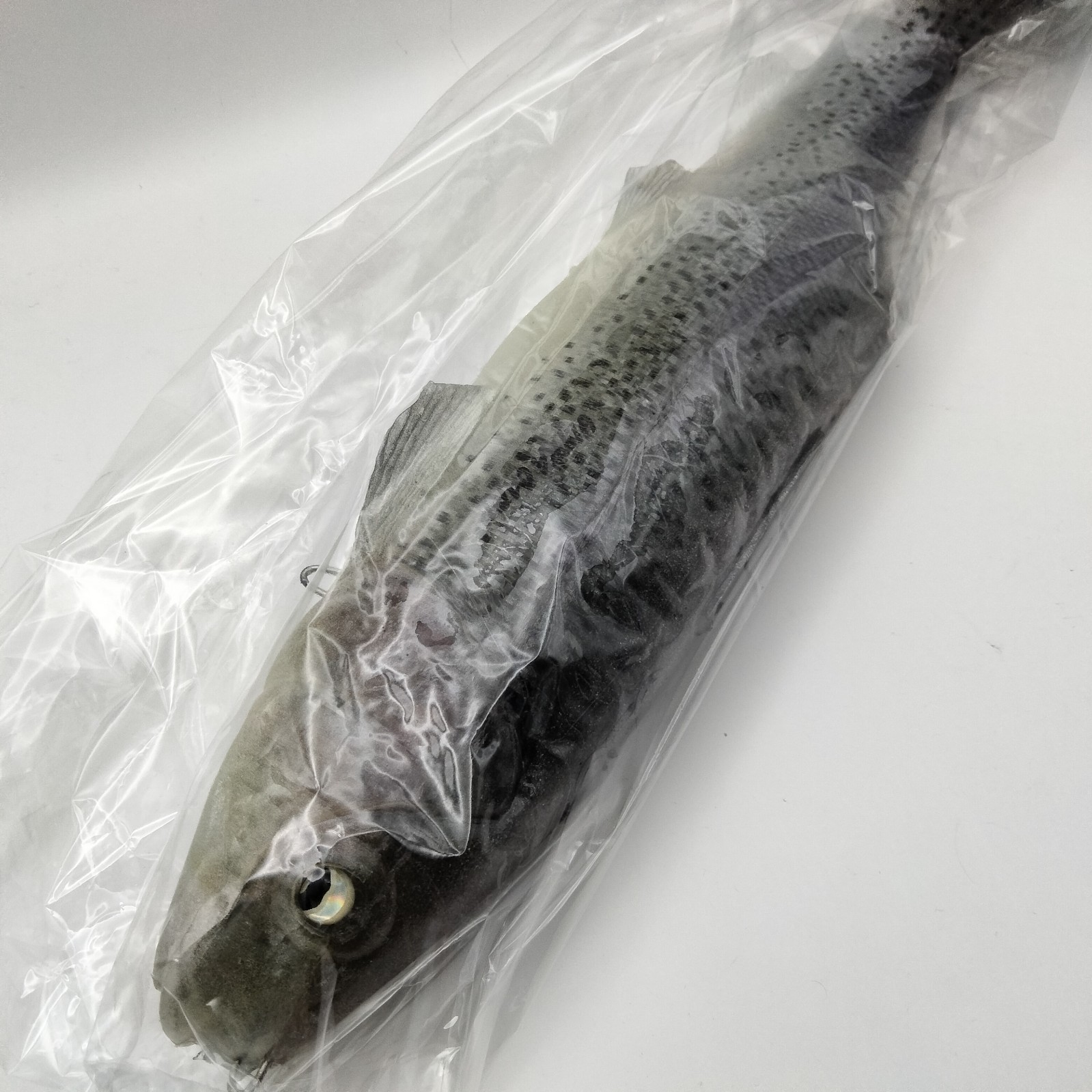Signal Ultra Carp Version 2 Dark Rainbow swimbait Japan fishing lure HTF rare - Image 10