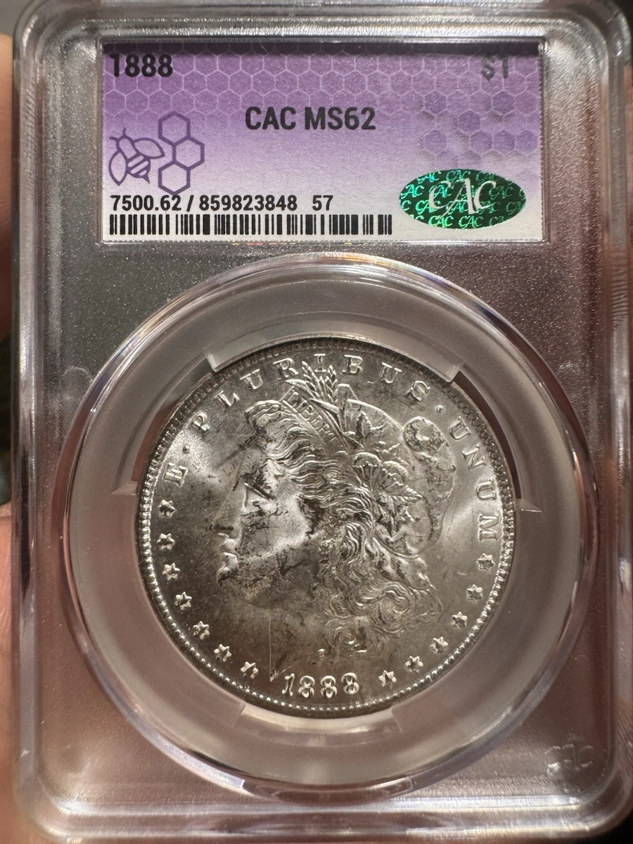 MS 62 Graded 1881 Year Morgan US Dollars (1878-1921) for sale | eBay
