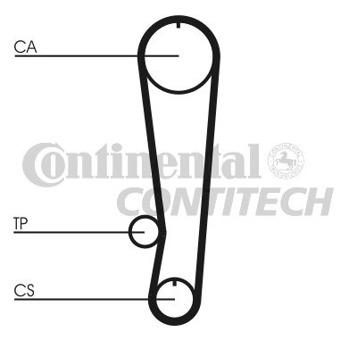 ENGINE TIMING BELT CAM BELT CONTITECH CT808 A NEW OE REPLACEMENT - Picture 2 of 8