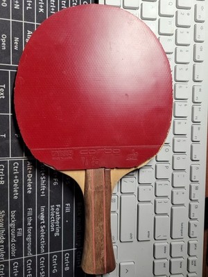 Vintage Borussia Dusseldorf Table Tennis Racket | eBay