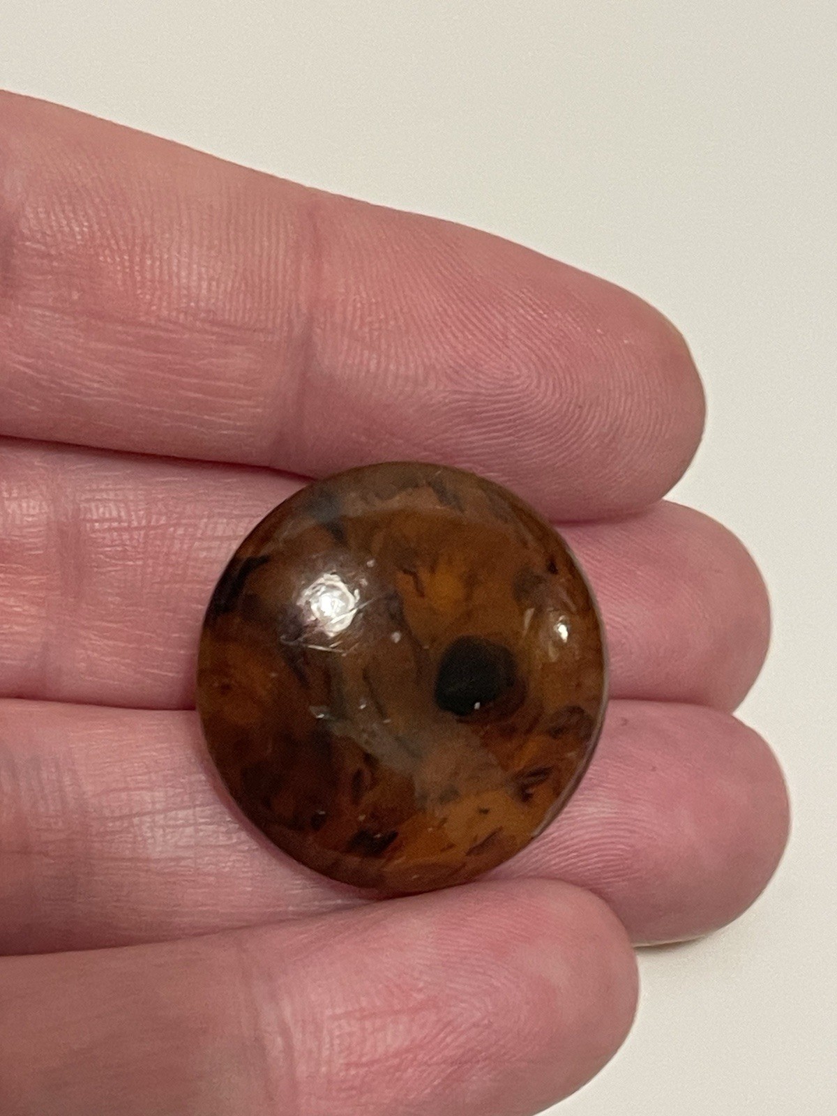 vintage tortoiseshell effect large plastic dome c… - image 7