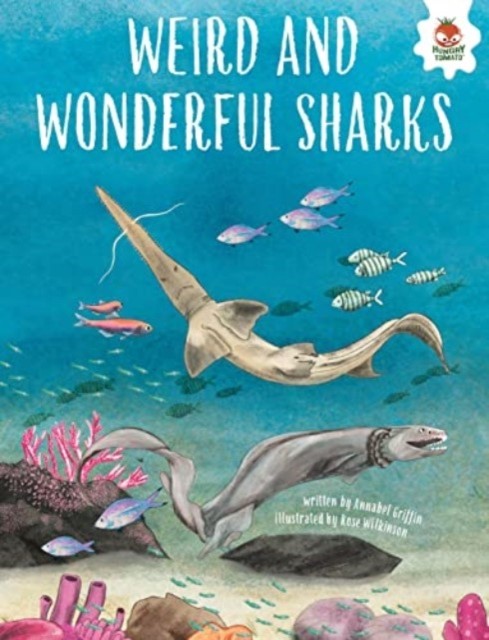 WEIRD AND WONDERFUL SHARKS by Annabel Griffin (Paperback Book)