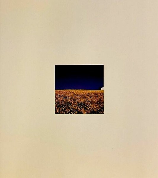 Plays Rodgers & Hammerstein by Fred Hersch (CD, Aug1996, Nonesuch (USA