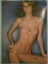 1978 Cheryl Tiegs Swimsuit Original Poster 1978 Pro Arts 20” x 28” Made USA