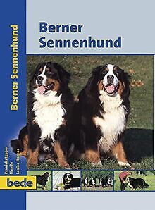 Berner Sennenhund, Praxisratgeber von Louise Harper | Buch | Zustand gut - Picture 1 of 2