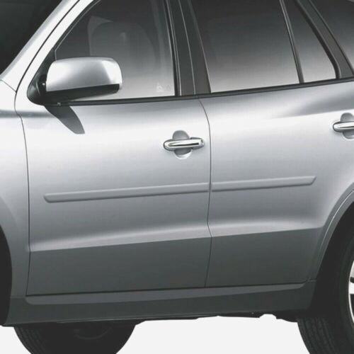 For: Hyundai Santa Fe 2007-2012 Painted Body Side Moldings #FE-SANTA - Photo 1 sur 4