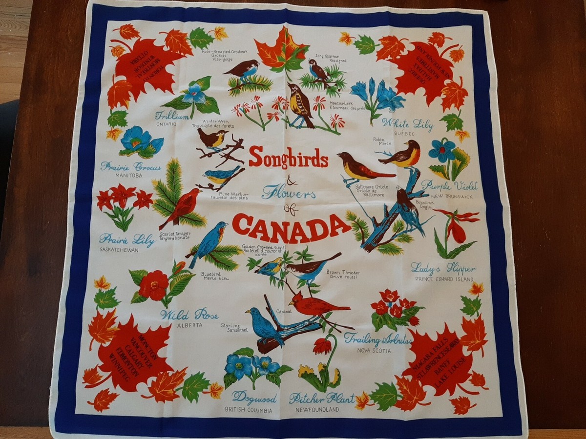 Vintage Scarf Songbirds And Flowers Of Canada