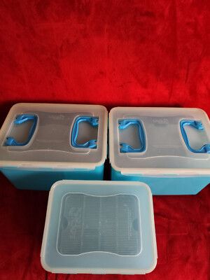 LocknLock Frischhaltedosen-Set 3 tlg Set 2