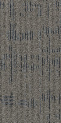 Shaw 54940 Curious Wonder 36'' x 18'' Glue Down Commercial Carpet - Wonderment