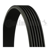 Continental Ctam 6PK1515 Keilrippenriemen für BMW E36 Hyundai Santa Fé I
