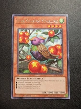 Star Staring Starling DANE-EN024 Rare 1st Edition NM