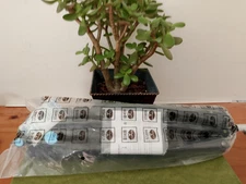 Sirui Traveler 5A Aluminum Travel Tripod