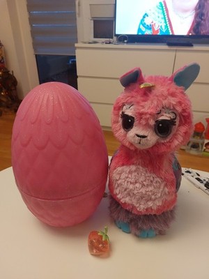 Hatchimals Wow