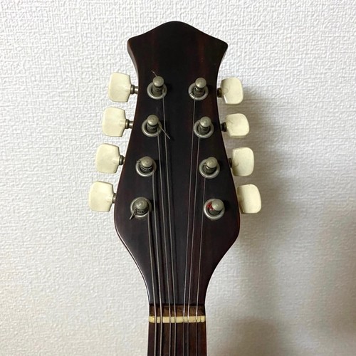 Mandolino Kiso-Suzuki con custodia rigida - Foto 5 di 7