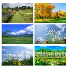 Beautiful Scenery Vinyl Photography Background Cloth Backdrop Photo Props Decor