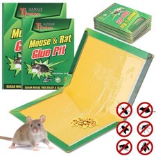 Sticky Boards Super Hold Mouse Glue Traps Catch Pest Spiders Scorpions Rat LOT