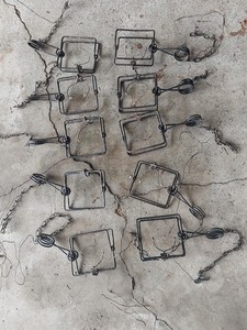LOT  10 TRAPS VICTOR 110 CONIBEARS w MODIFIED TRIGGERS &  CHAINS, WORKING