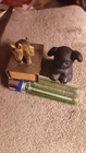 griswold cast iron pup