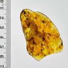 Foto 11 di 11