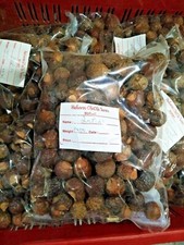 Aritha Reetha Fruits, Soap Nuts, Sapindus Indian Raw Whole Herbs for Hair Wash