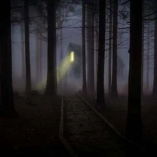 MY DEAR WATSON (type) Fragrance Oil to craft Candles Soaps Lotions Bath products