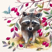 20 Servietten Bandit Cream WaschbäR Tiere Hagebutten Garten Natur Herbst 33X33Cm