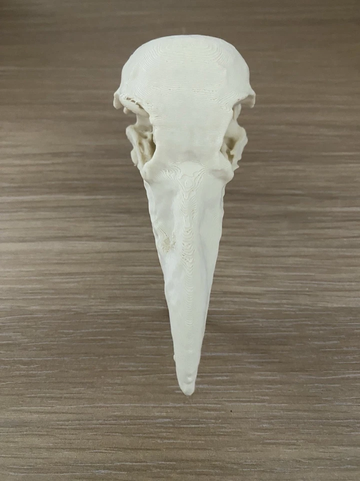 Replica Raven Skull Handle Cupboard Door Pull Cabinet Knob - Image 3 of 4