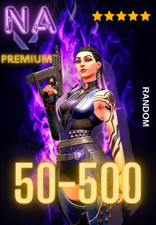 Valorant 50 - 500 skin [NA] Fast PREMIUM Ship