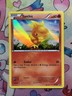 Torchic XY37 Promo XY Black Star Promos Pokemon Holo VLP