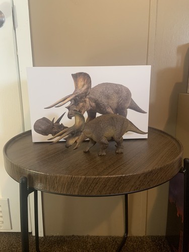 PNSO 1/35 Doyle the Triceratops Model Museum Dinosaur Series, Scientific model - Picture 22 of 24
