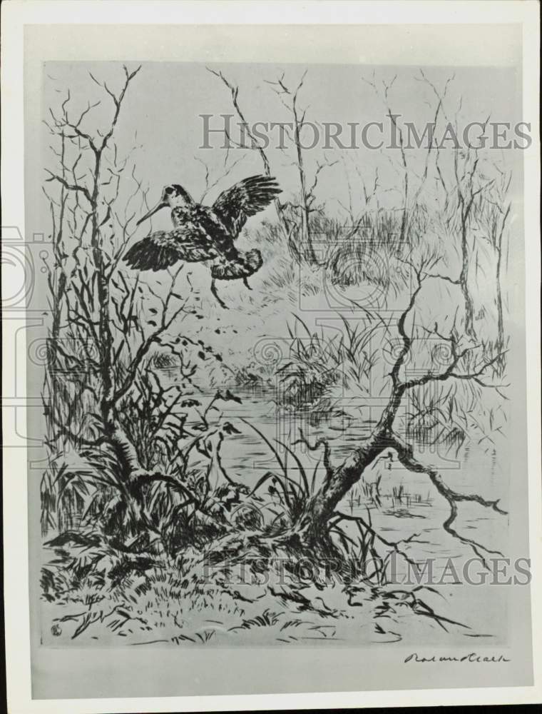 Press Photo Artist's drawing of a bird in the forest - nei51247 | eBay