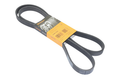 New BMW E36 318i M43 M44 Belt - Alternator Water Pump 6PK1733  