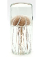 Deko Briefbeschwerer  MYSTIC MEDUSA Deko Qualle NEU Deko Bad braun wei&szlig;