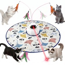 Automatic Cat Toys Interactive Pet Toys for Indoor Cats,USB Cat Interactive Toys