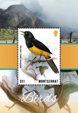 Montserrat 2018 - Oriole, Birds - Souvenir Stamp Sheet - Scott #1415 - MNH