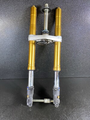 2006-2008 Triumph Daytona 675 Front Forks Straight | OE