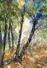 Original Watercolor Painting Landscape  Signed "Yanni" Self-representing