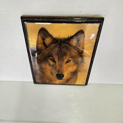 Vintage Wolf Picture Print Art Wooden Frame wolf photo 1993 #2075 custom plaques - Picture 3 of 11