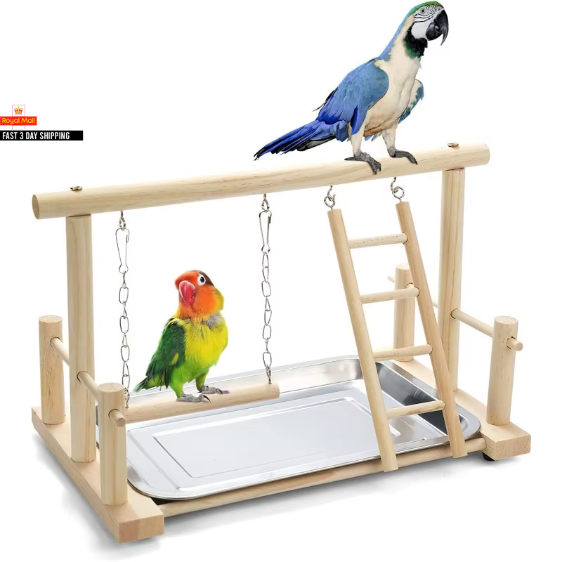 Parrot Station Rack Birdcage Play Stands Bird Wooden Playground Swing and Ladder