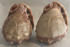 Pair Antique Carved Cameo Conch Shell Lamp Light Shades