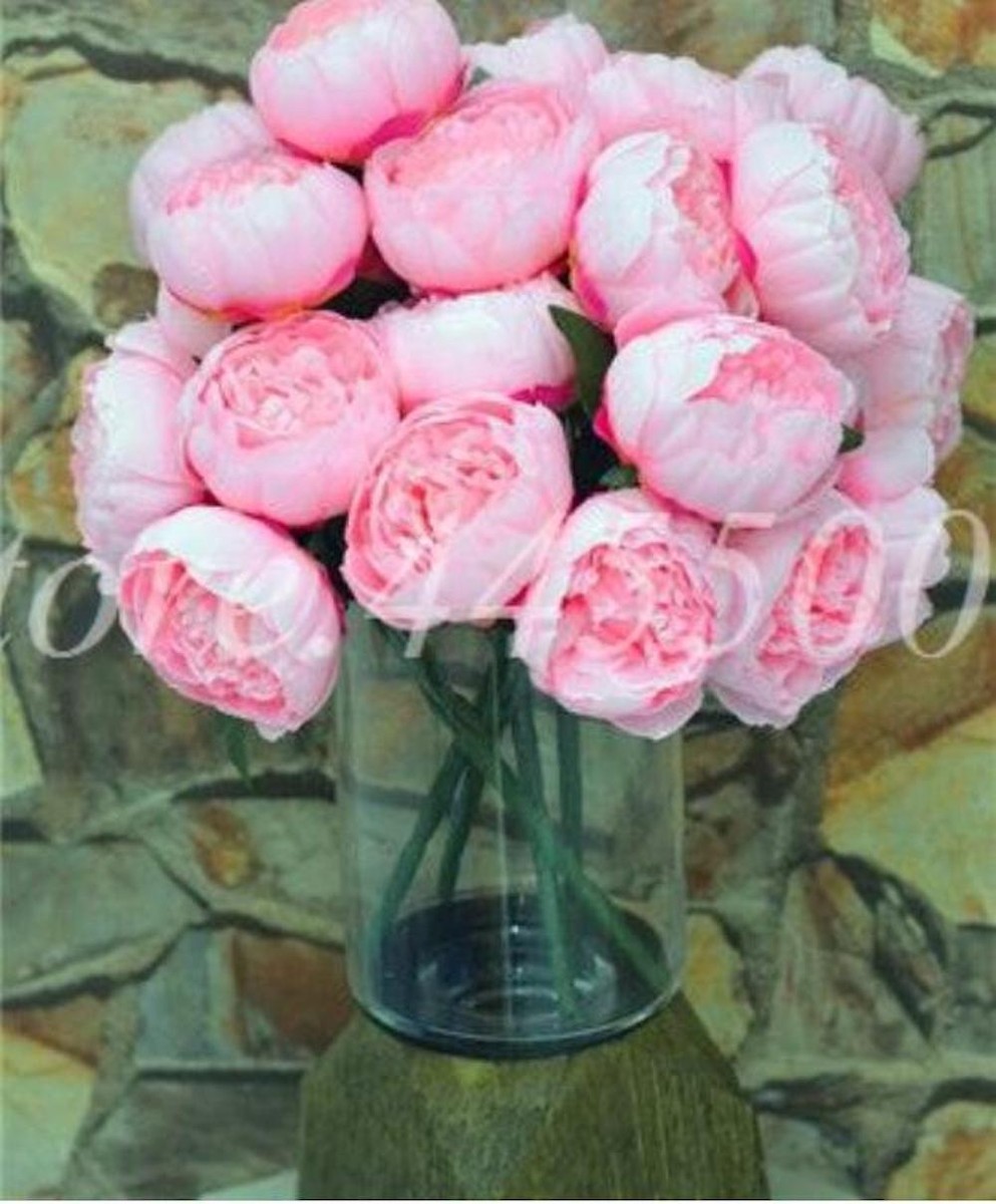 20 PEONIES FLOWER SEEDS rare exotic blossom bloom plant garden